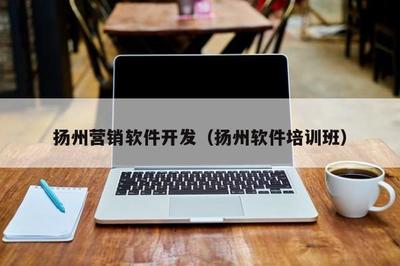 揚州營銷軟件開發 本地網絡技術服務的利器與實踐指南